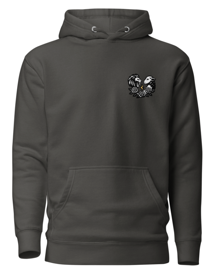 Dark gray hoodie with a small logo on the chest against a white background